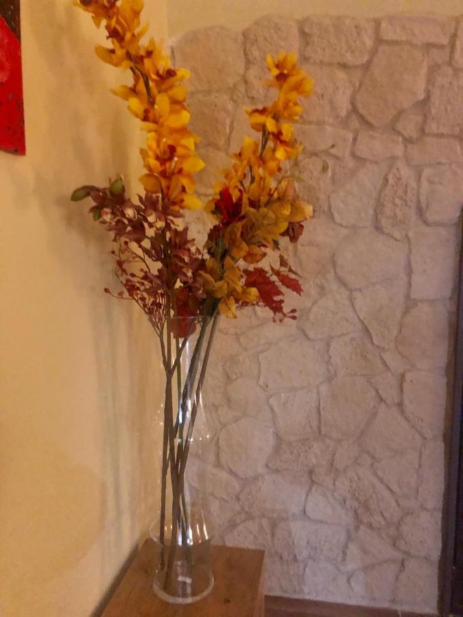 בארי Al Vecchio Arco Appartament מראה חיצוני תמונה